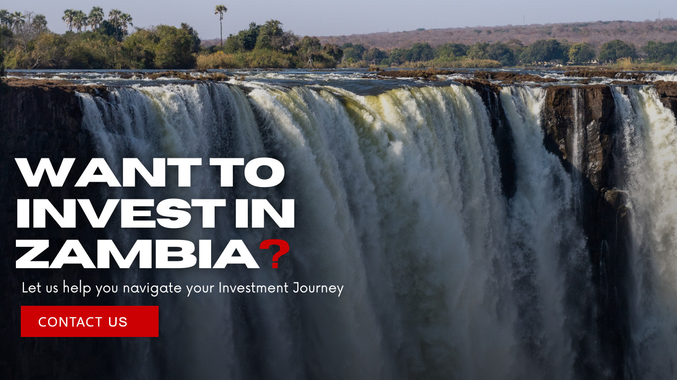 invest in zambia